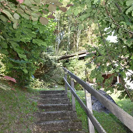 Entier Pour L'été *