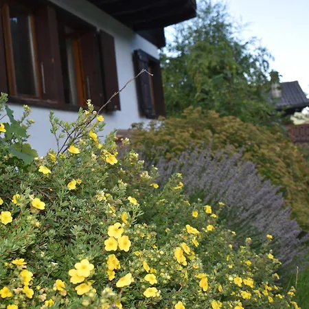 Entier Pour L'été Chalet