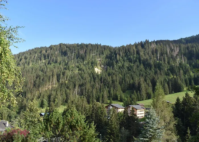 Entier Pour L'ete Alpstuga Troistorrents