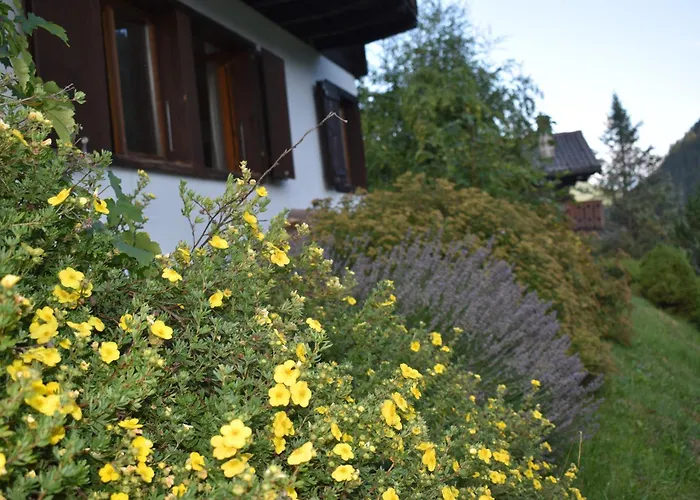 Entier Pour L'ete Alpstuga