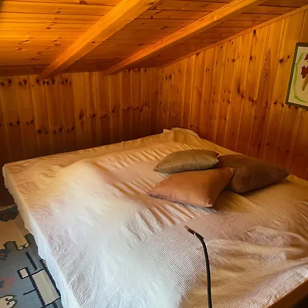 木屋 Entier Pour L'ete Troistorrents